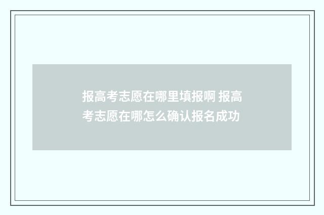 报高考志愿在哪里填报啊 报高考志愿在哪怎么确认报名成功