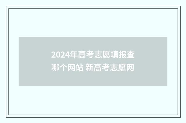 2024年高考志愿填报查哪个网站 新高考志愿网