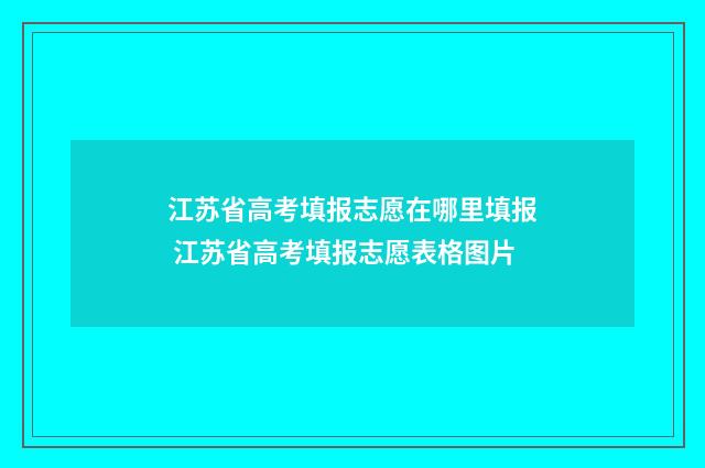 江苏省高考填报志愿在哪里填报 江苏省高考填报志愿表格图片