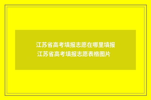 江苏省高考填报志愿在哪里填报 江苏省高考填报志愿表格图片