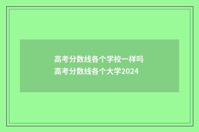 高考分数线各个学校一样吗 高考分数线各个大学2024