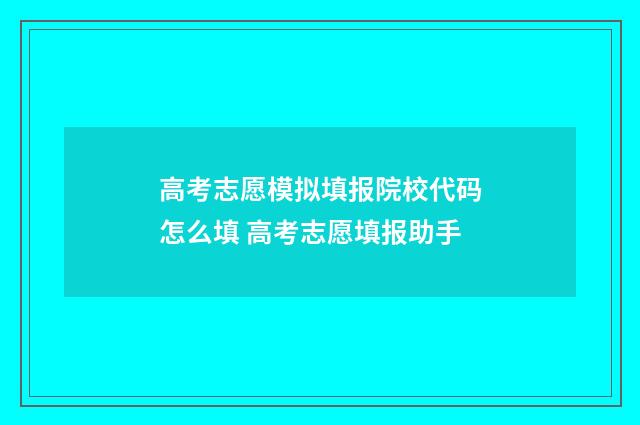高考志愿模拟填报院校代码怎么填 高考志愿填报助手