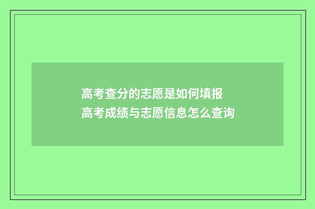 高考查分的志愿是如何填报 高考成绩与志愿信息怎么查询
