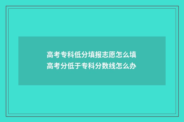 高考专科低分填报志愿怎么填 高考分低于专科分数线怎么办