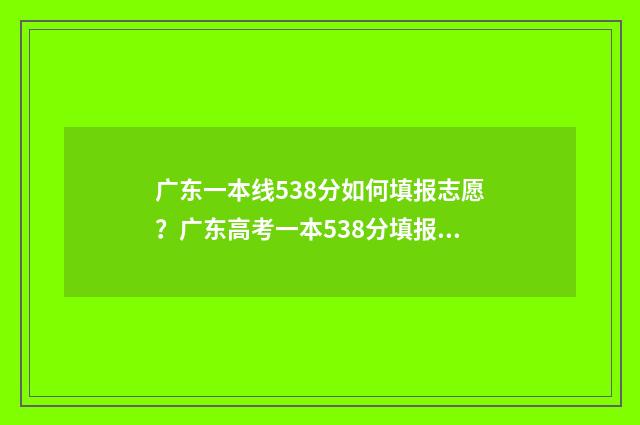 广东一本线538分如何填报志愿？广东高考一本538分填报志愿指南 广东一本线538分是多少