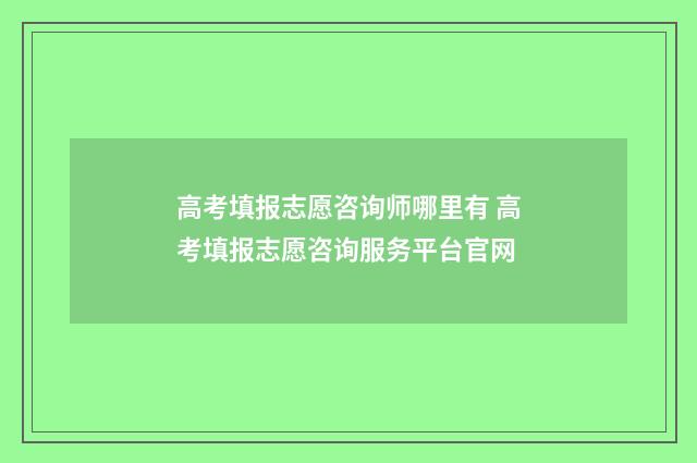 高考填报志愿咨询师哪里有 高考填报志愿咨询服务平台官网