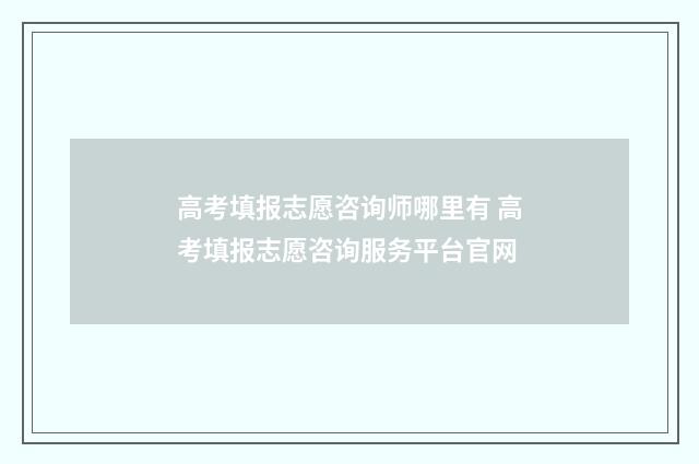 高考填报志愿咨询师哪里有 高考填报志愿咨询服务平台官网