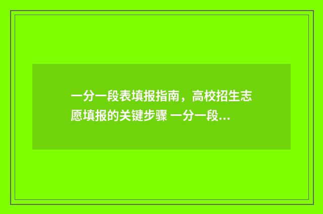 一分一段表填报指南，高校招生志愿填报的关键步骤 一分一段表怎样参考