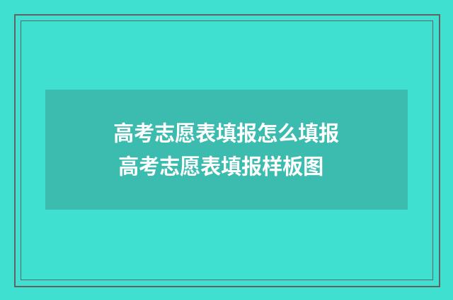 高考志愿表填报怎么填报 高考志愿表填报样板图