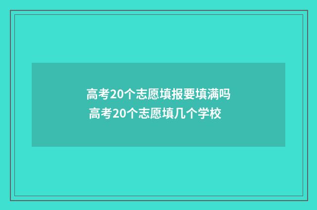 高考20个志愿填报要填满吗 高考20个志愿填几个学校