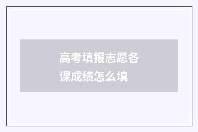 高考填报志愿各课成绩怎么填