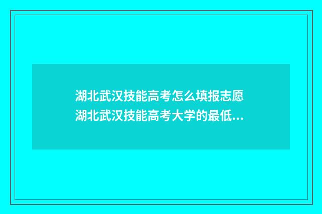 湖北武汉技能高考怎么填报志愿 湖北武汉技能高考大学的最低分数线