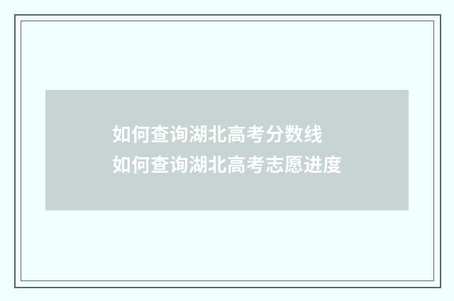 如何查询湖北高考分数线 如何查询湖北高考志愿进度