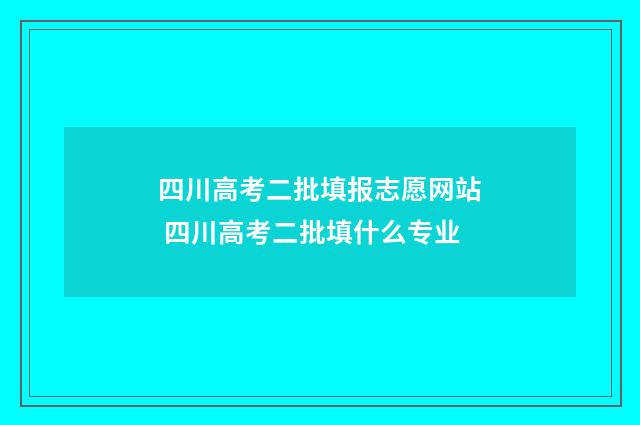 四川高考二批填报志愿网站 四川高考二批填什么专业
