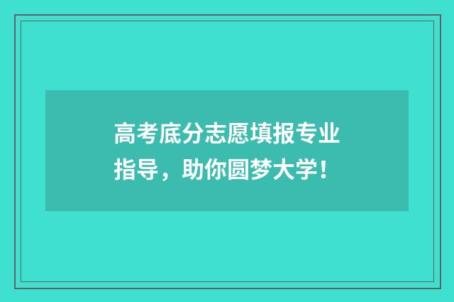 高考底分志愿填报专业指导，助你圆梦大学！