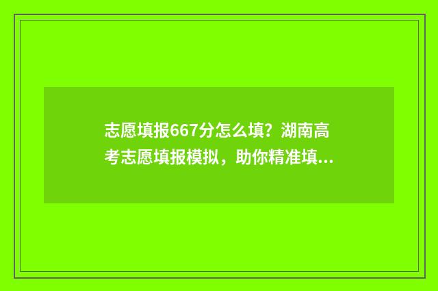 志愿填报667分怎么填?湖南高考志愿填报模拟,助你精准填报!
