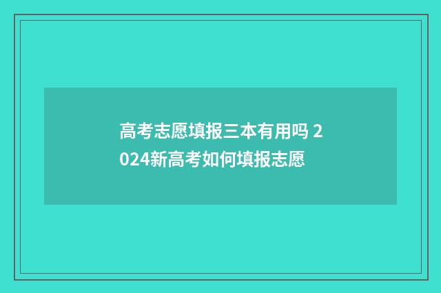 高考志愿填报三本有用吗 2024新高考如何填报志愿