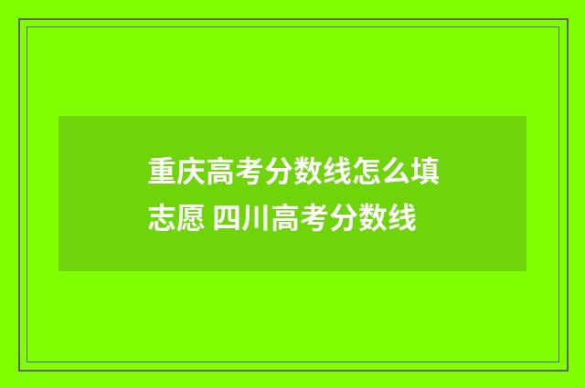 重庆高考分数线怎么填志愿 四川高考分数线