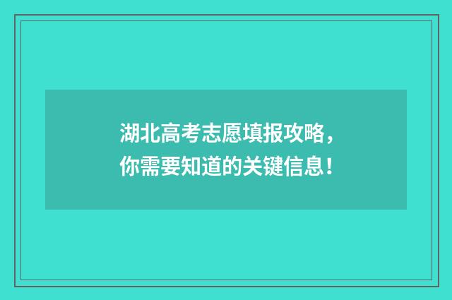 湖北高考志愿填报攻略，你需要知道的关键信息！