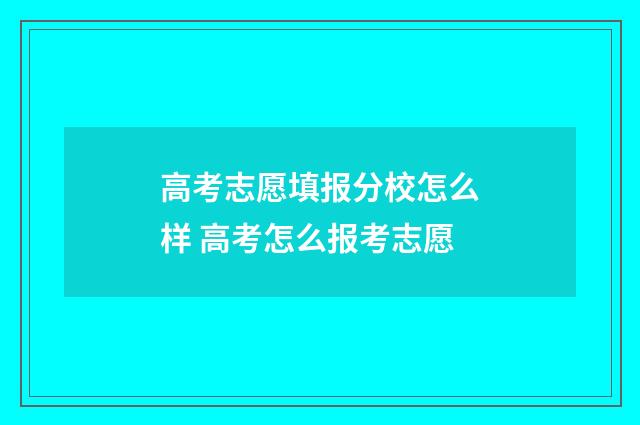 高考志愿填报分校怎么样 高考怎么报考志愿