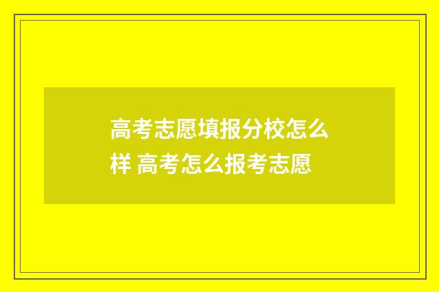 高考志愿填报分校怎么样 高考怎么报考志愿