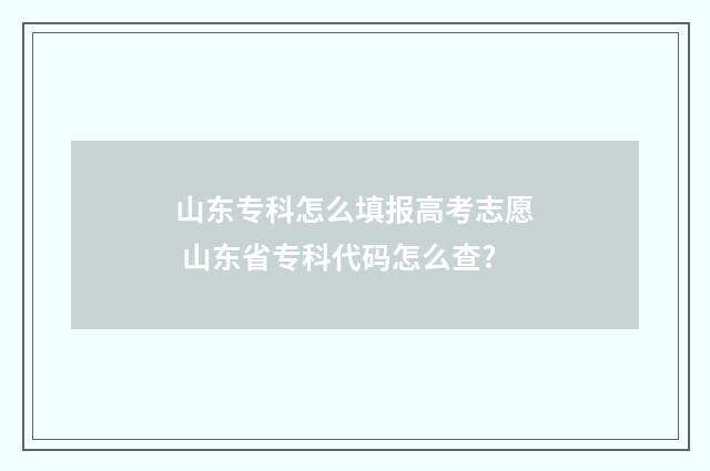 山东专科怎么填报高考志愿 山东省专科代码怎么查?