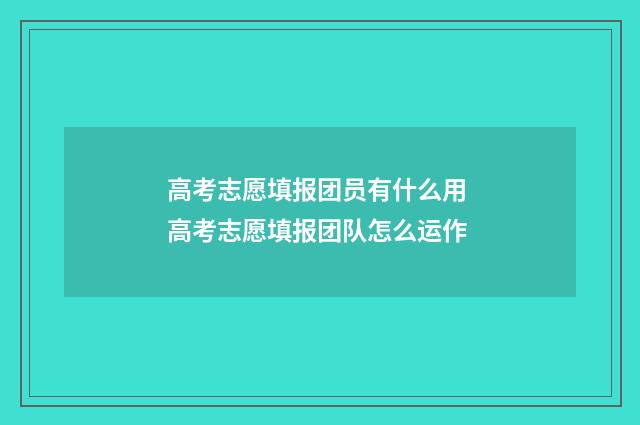 高考志愿填报团员有什么用 高考志愿填报团队怎么运作