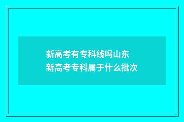 新高考有专科线吗山东 新高考专科属于什么批次
