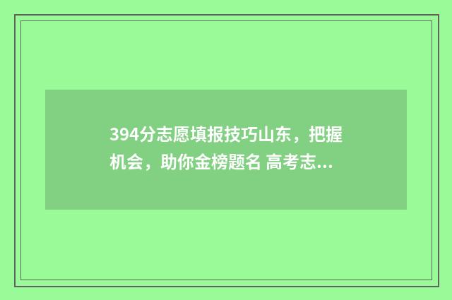 394分志愿填报技巧山东，把握机会，助你金榜题名 高考志愿填报394