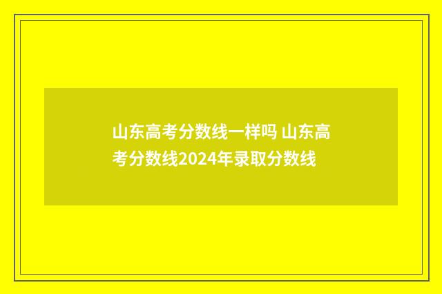 山东高考分数线一样吗 山东高考分数线2024年录取分数线