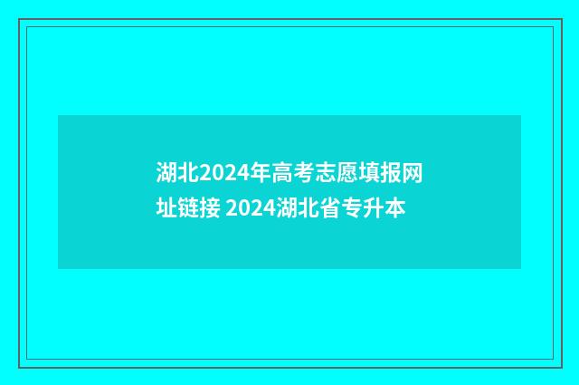 湖北2024年高考志愿填报网址链接 2024湖北省专升本