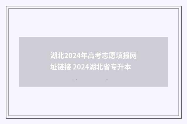 湖北2024年高考志愿填报网址链接 2024湖北省专升本