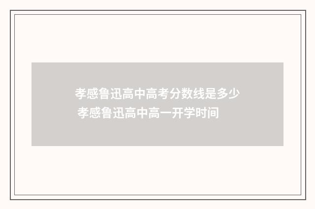 孝感鲁迅高中高考分数线是多少 孝感鲁迅高中高一开学时间