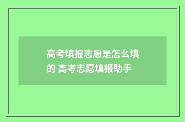 高考填报志愿是怎么填的 高考志愿填报助手