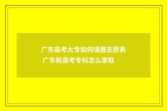 广东高考大专如何填报志愿表 广东新高考专科怎么录取