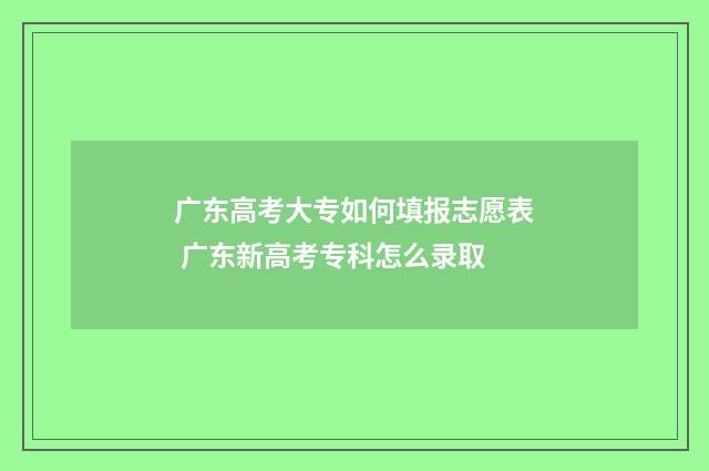 广东高考大专如何填报志愿表 广东新高考专科怎么录取