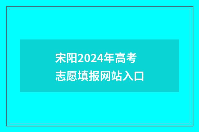 宋阳2024年高考志愿填报网站入口