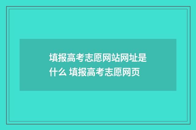 填报高考志愿网站网址是什么 填报高考志愿网页