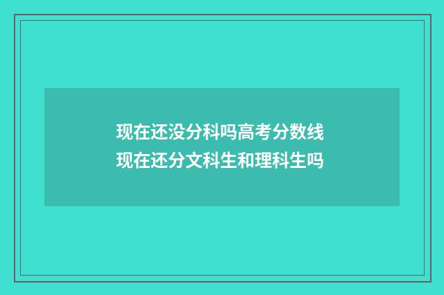 现在还没分科吗高考分数线 现在还分文科生和理科生吗