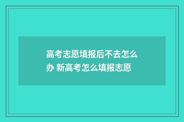 高考志愿填报后不去怎么办 新高考怎么填报志愿