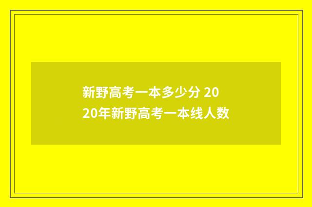 新野高考一本多少分 2020年新野高考一本线人数