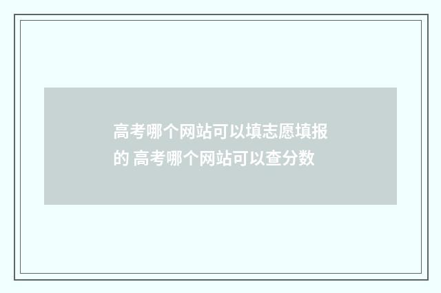 高考哪个网站可以填志愿填报的 高考哪个网站可以查分数
