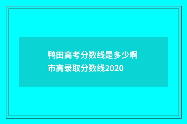 鸭田高考分数线是多少啊 市高录取分数线2020