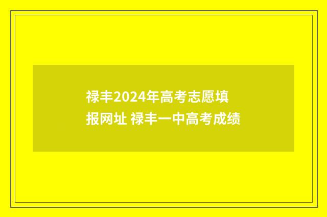 禄丰2024年高考志愿填报网址 禄丰一中高考成绩