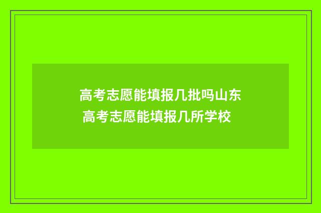 高考志愿能填报几批吗山东 高考志愿能填报几所学校