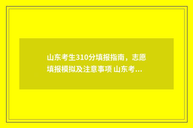 山东考生310分填报指南，志愿填报模拟及注意事项 山东考生310分填什么专业