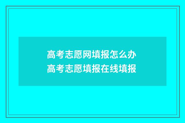 高考志愿网填报怎么办 高考志愿填报在线填报