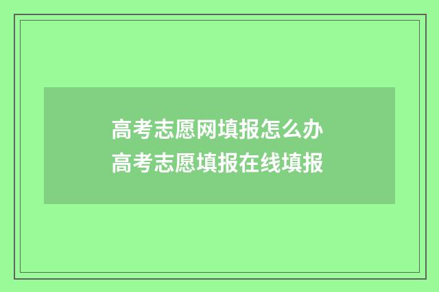 高考志愿网填报怎么办 高考志愿填报在线填报