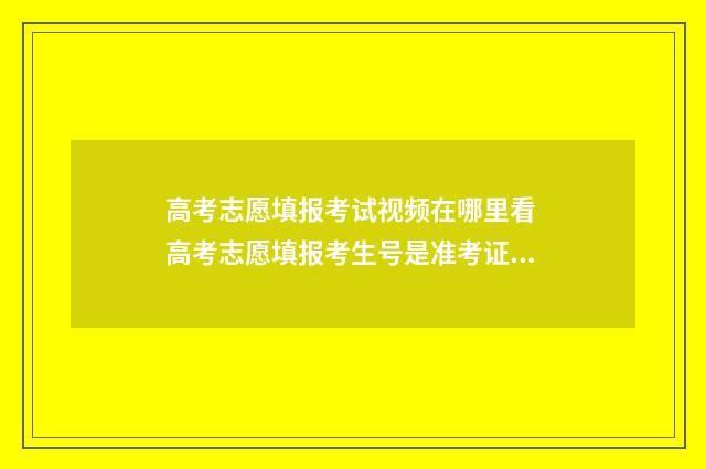 高考志愿填报考试视频在哪里看 高考志愿填报考生号是准考证号吗
