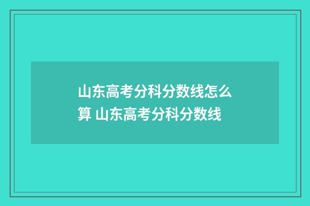 山东高考分科分数线怎么算 山东高考分科分数线